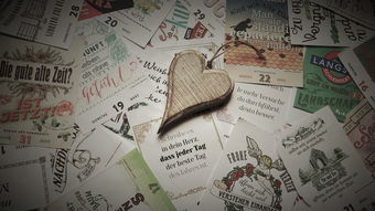 华体会官网客服-英超青训心理训练促进抗压能力发展的实证研究，英超青训怎么算